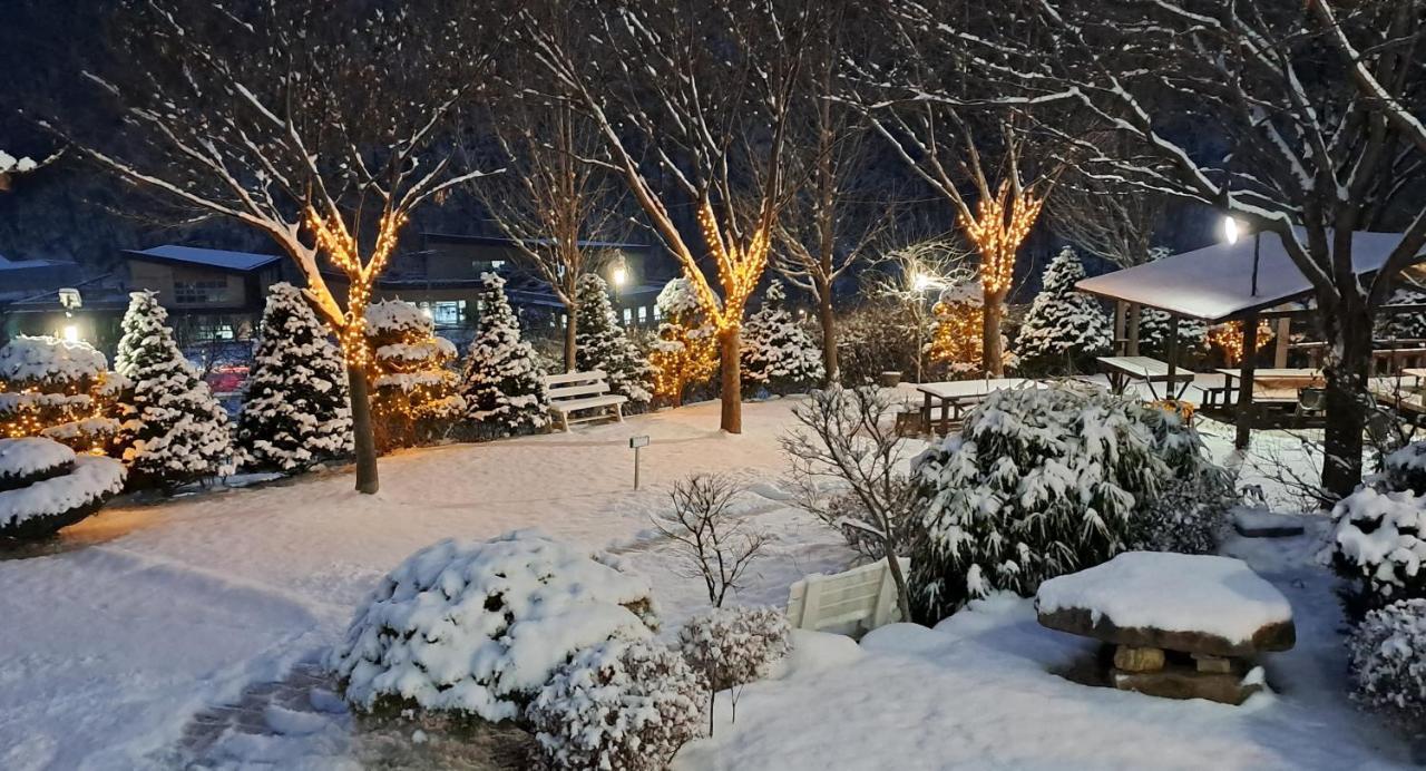 참조은 펜션 제천 외부 사진